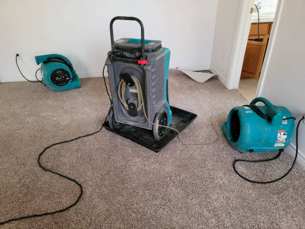 Best Carpet water damage restoration  in Barview, OR