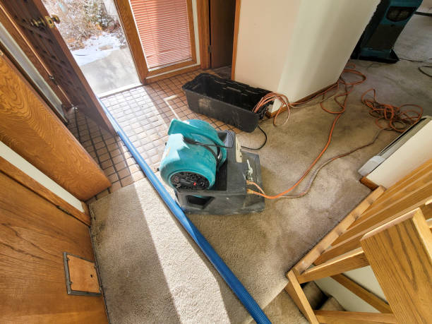Best Professional water damage repair  in Barview, OR
