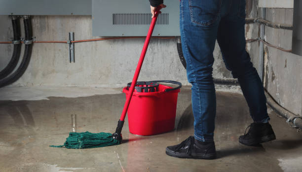 Best Flood restoration services  in Barview, OR