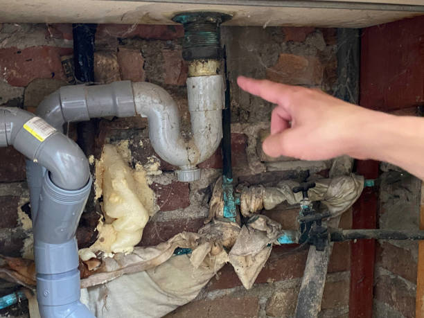 Best Flood damage cleanup  in Barview, OR