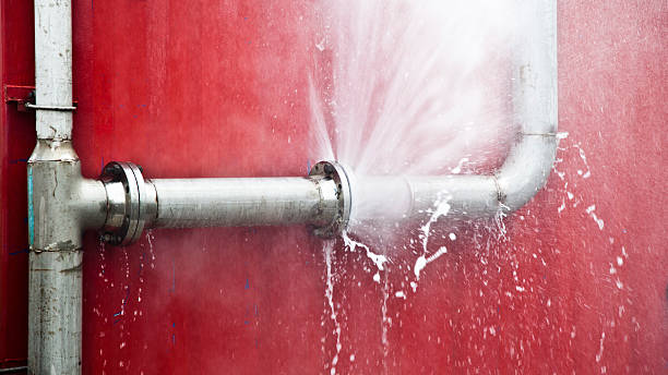 Best Professional water damage repair  in Barview, OR